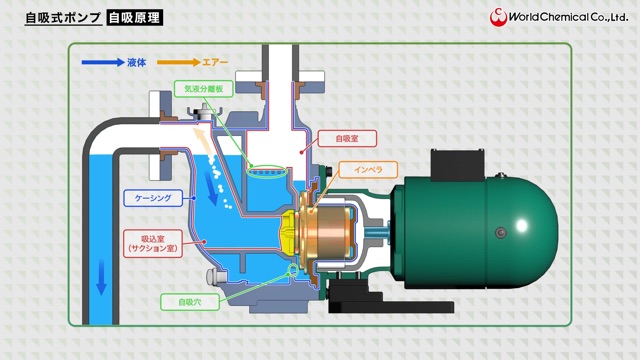 3DCG